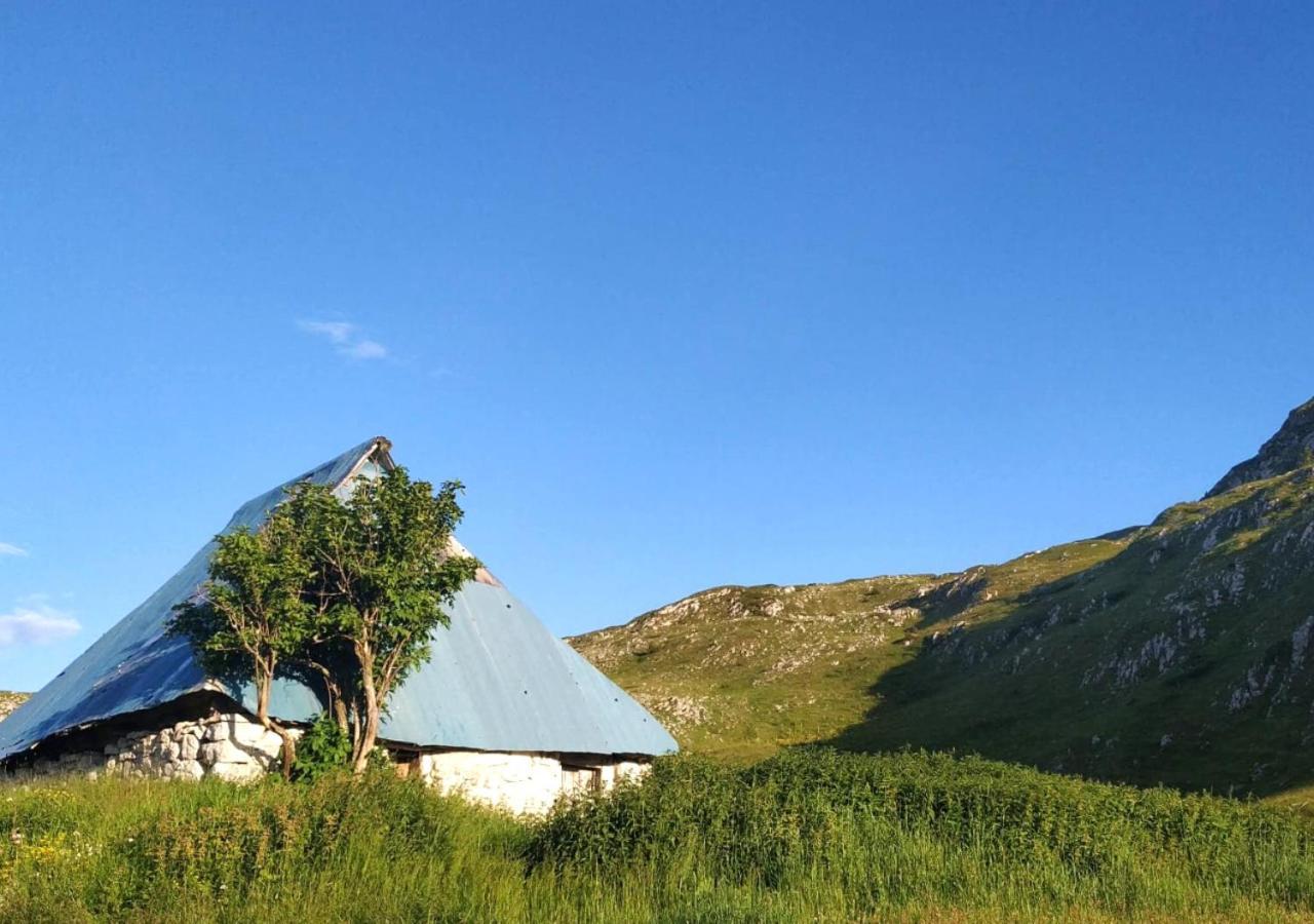 Katun Kuline Lägenhet Kolašin Exteriör bild