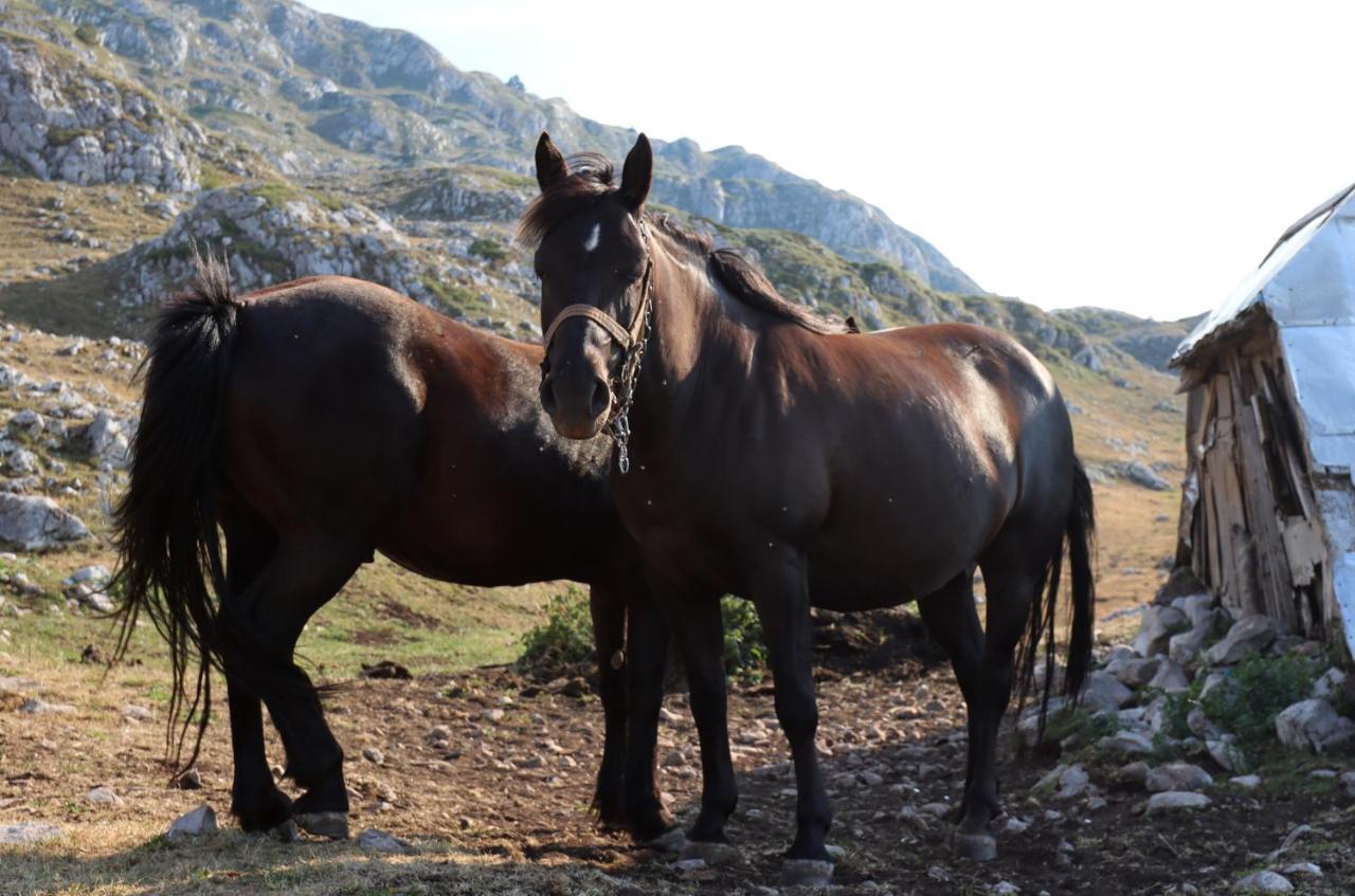Katun Kuline Lägenhet Kolašin Exteriör bild