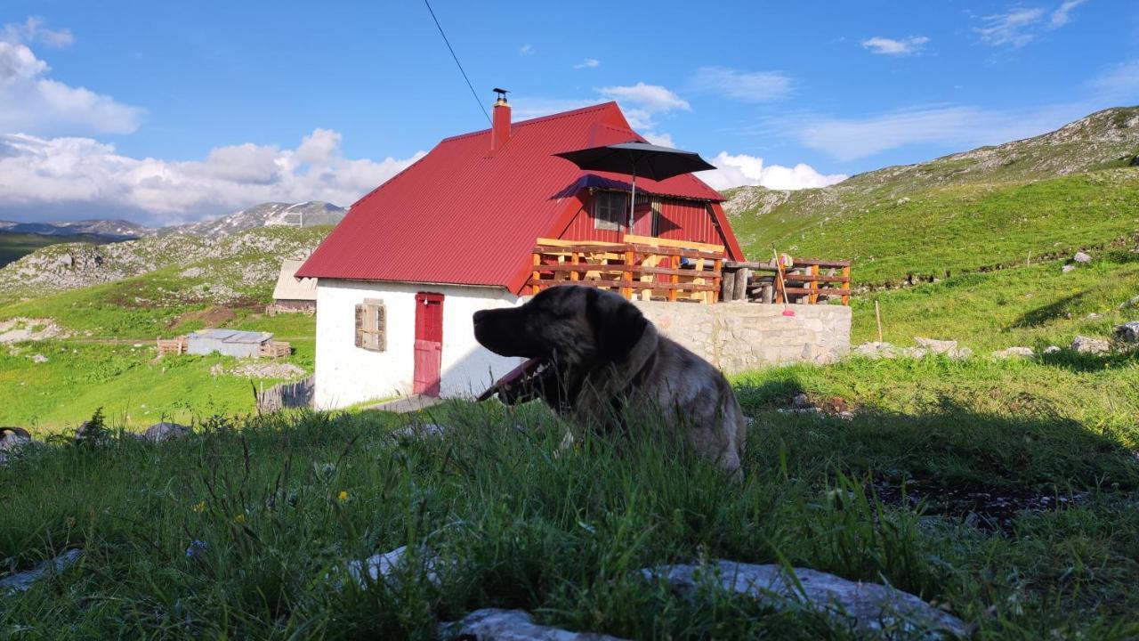 Katun Kuline Lägenhet Kolašin Exteriör bild